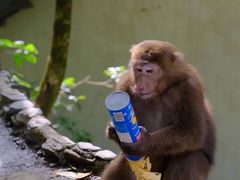 -西岭雪山大飞水景区