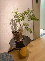 -北京漾格医疗美容医院