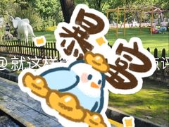 -十渡高山漂流