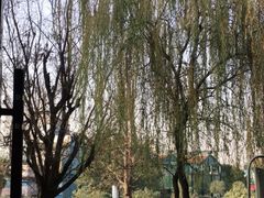 -成都华侨城欢乐里