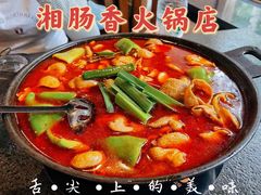 肠子火锅-湘肠香火锅店(团结湖店)
