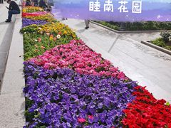 -睦南公园