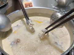 营养奶汤锅底-七秒鱼·斑鱼火锅(太阳城店)