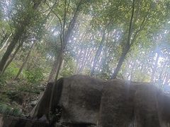 -灵栖洞天