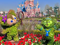 -上海迪士尼度假区