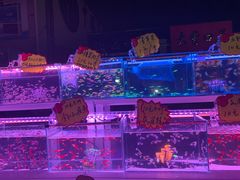 -中环花鸟鱼虫市场
