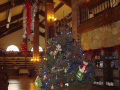 大堂的圣诞树-意大利农场度假村