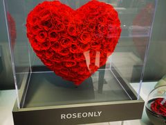 -ROSEONLY诺誓(广州K11店)