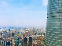 -上海柏悦酒店