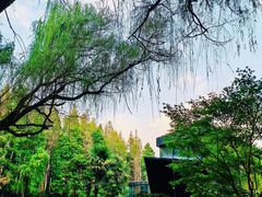 -同里国家湿地公园