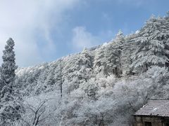-溪口商量岗景区