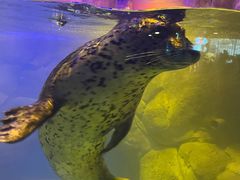 -洛阳龙门海洋馆