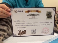 -美迦爱-牙专科·兔科·骨科诊疗中心(北苑店)