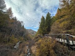 -苏木山森林公园