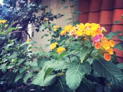 -花迹(富春江东街店)