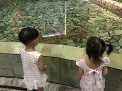 -泉城欧乐堡戏水湾艺术养生温泉