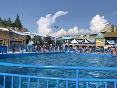 -横店影视城梦幻谷园区