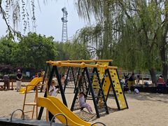 -大兴滨河森林公园