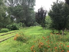 -永定河休闲森林公园