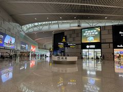 -青岛胶东国际机场