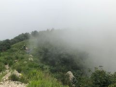 -北京鹫峰国家森林公园
