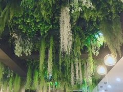 -Husky Go! 哈士奇体验馆·宠物咖啡厅狗咖