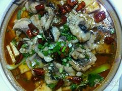 -煲来饱去冷水鱼