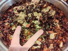 -陈记鱼厨卫城老店