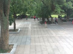 -南宁南湖公园