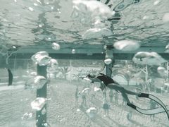 -青鱼湾水上乐园