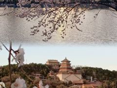 -颐和园
