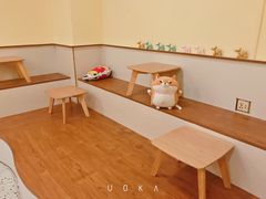 用餐区-喜柴咖啡·柴犬狗咖