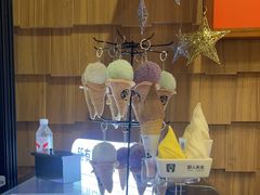 -野人先生现做冰淇淋(北京顺义祥云小镇店)