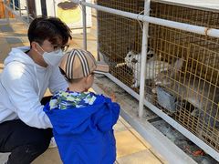 -大连铭湖国际观光牧场