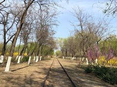 -永定河休闲森林公园