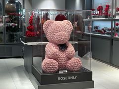 -ROSEONLY诺誓(广州K11店)