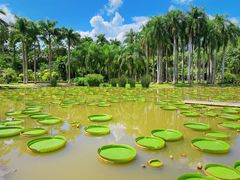 -中国科学院西双版纳热带植物园