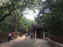 -灵岩山风景区