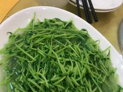 -鸿达渔港