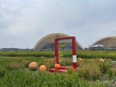 -中国天府农业博览园