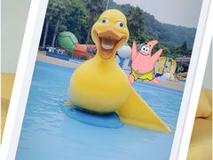 -重庆海昌加勒比海水世界