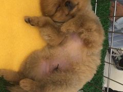 -金逸影城(中关村店)