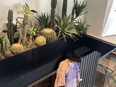 -J Create城市露营咖啡·简餐·宠物(上海动物园店)