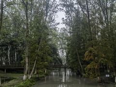 -桤木河湿地公园