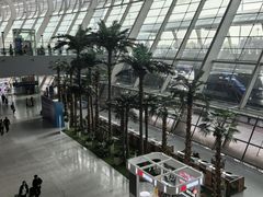 -合肥新桥国际机场-航站楼
