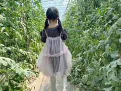 -庞各庄西瓜蔬菜采摘园·锦华瓜园