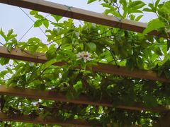 -中国天府农业博览园