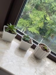 -上海首尔丽格医疗美容医院