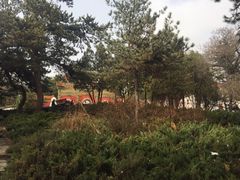 -普陀宗乘之庙(小布达拉宫)