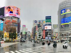 -涩谷区